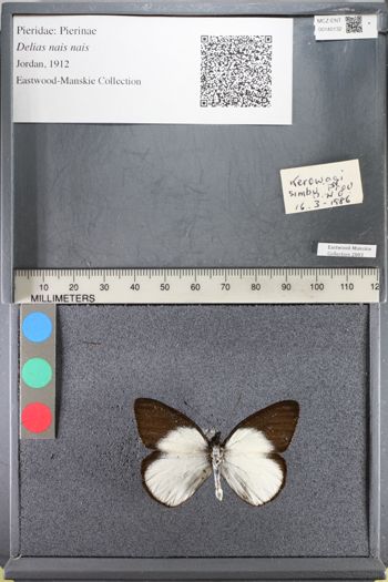 Media type: image;   Entomology 140132